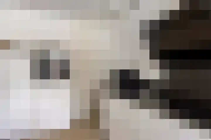 Hertshooi 35 Mierlo thumbnail 11