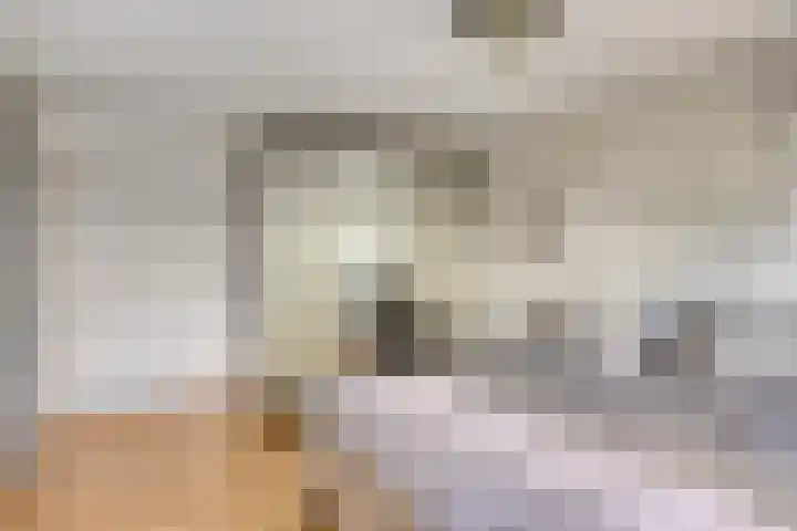 Hertshooi 35 Mierlo thumbnail 16