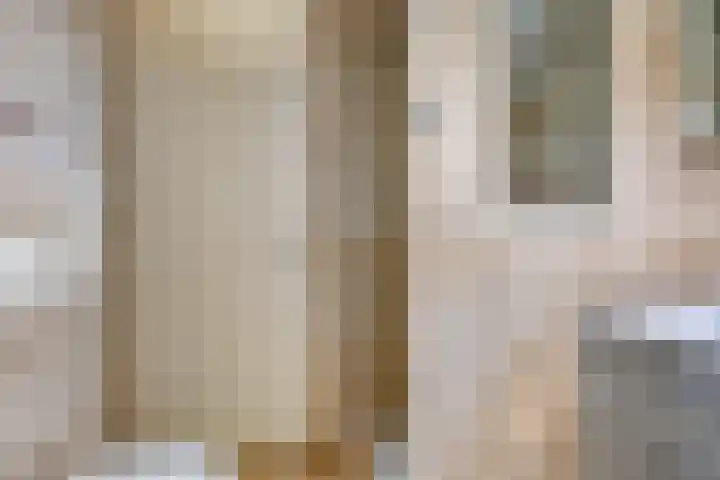 Hertshooi 35 Mierlo thumbnail 18