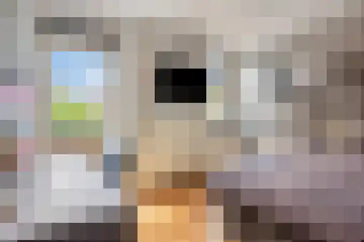 Hertshooi 35 Mierlo thumbnail 20