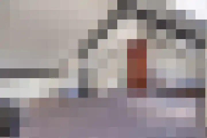 Hertshooi 35 Mierlo thumbnail 24