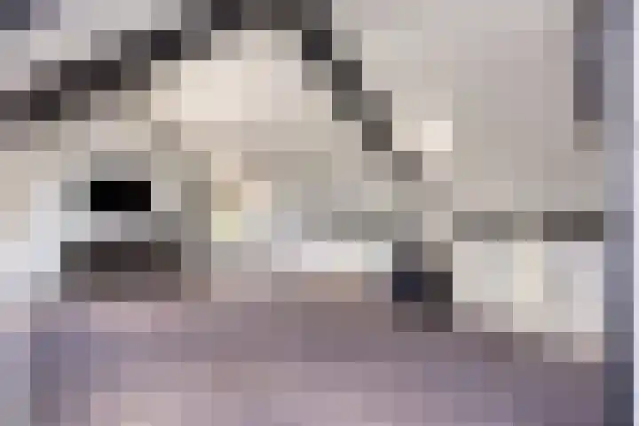 Hertshooi 35 Mierlo thumbnail 25