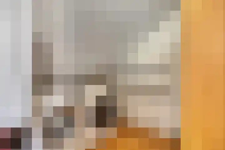 Hertshooi 35 Mierlo thumbnail 26