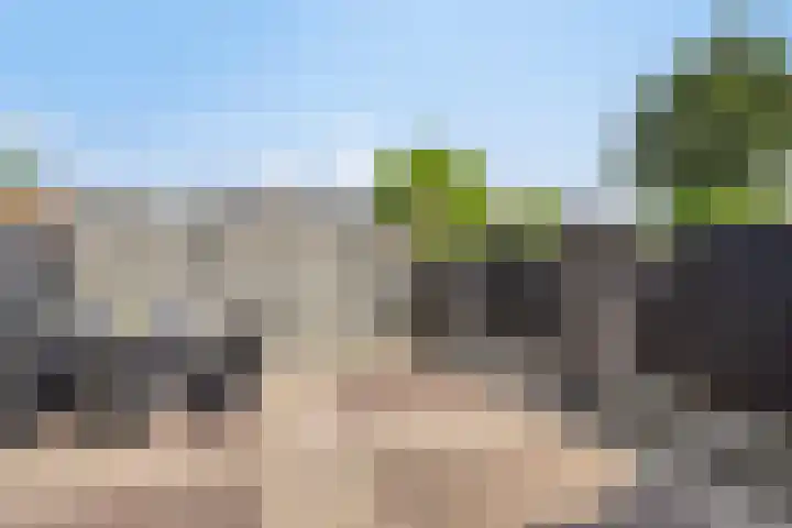 Hertshooi 35 Mierlo thumbnail 29