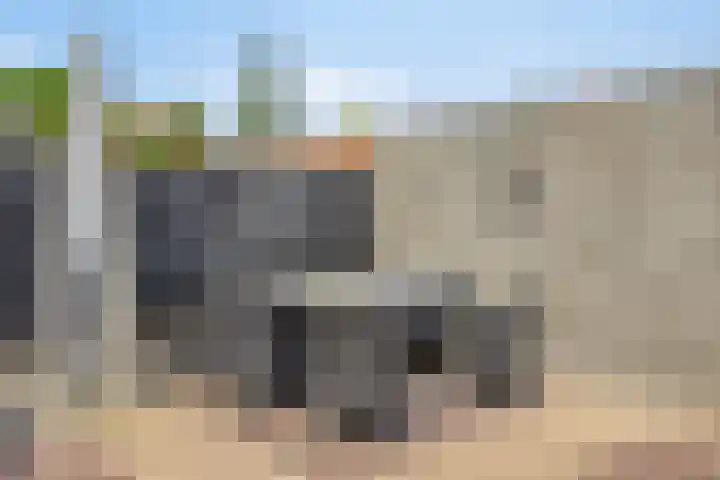 Hertshooi 35 Mierlo thumbnail 30