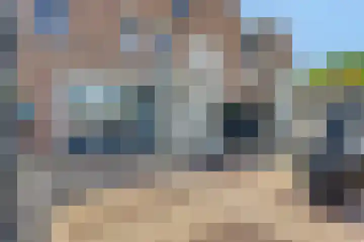 Hertshooi 35 Mierlo thumbnail 31