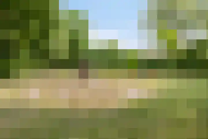 Hertshooi 35 Mierlo thumbnail 33