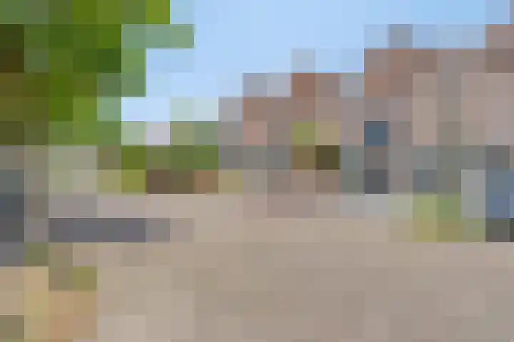 Hertshooi 35 Mierlo thumbnail 34