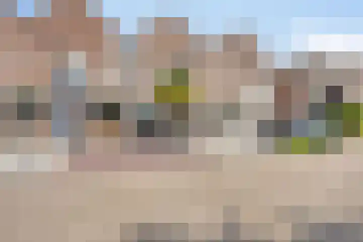 Hertshooi 35 Mierlo thumbnail 35