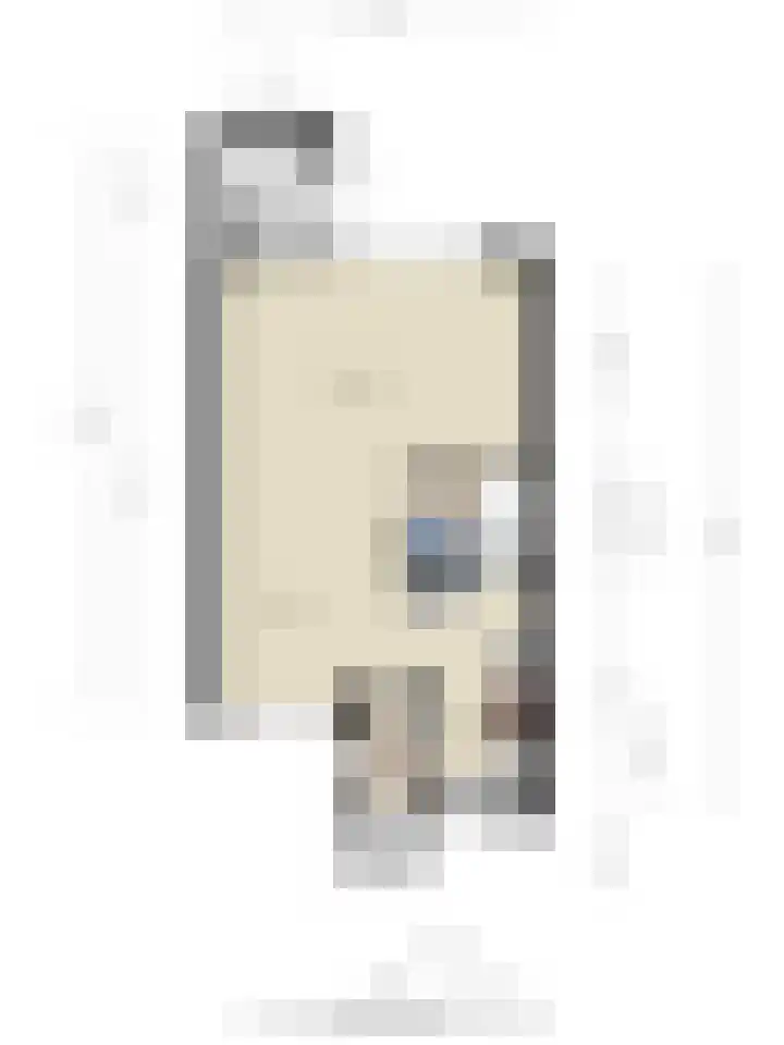 Hertshooi 35 Mierlo thumbnail 38