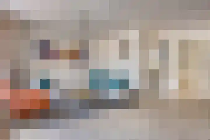 Hertshooi 35 Mierlo thumbnail 4
