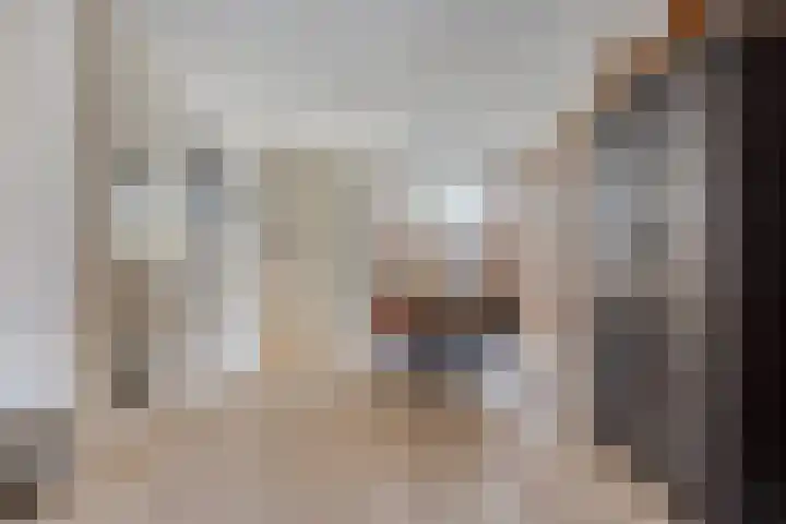 Hertshooi 35 Mierlo thumbnail 6