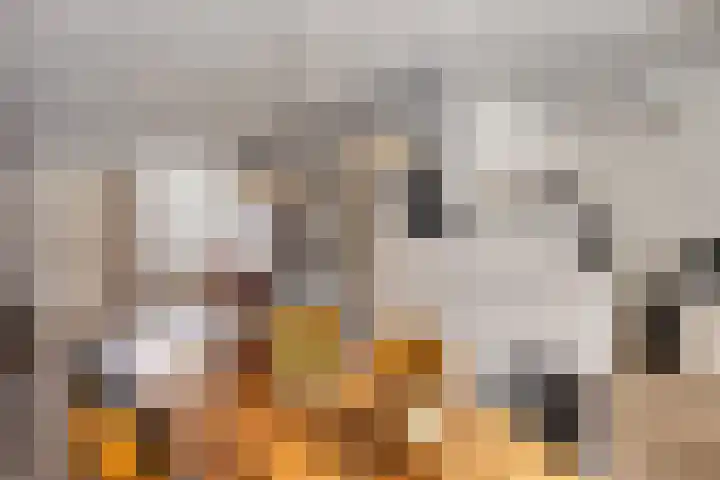 Hertshooi 35 Mierlo thumbnail 8