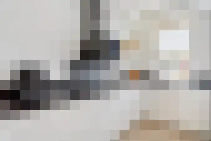 Hertshooi 35 Mierlo thumbnail 9