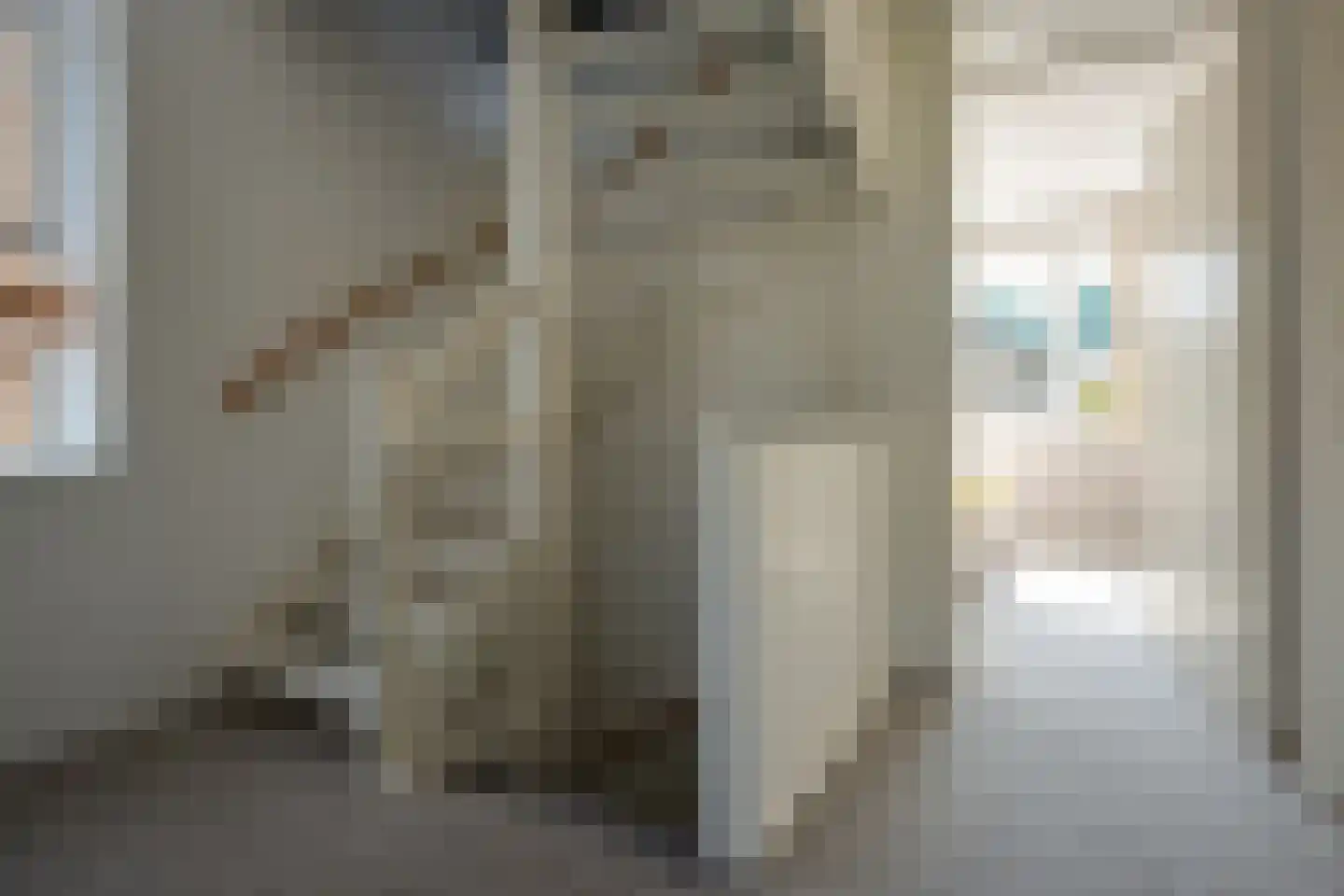 Hertshooistraat 14 C Assen thumbnail 20