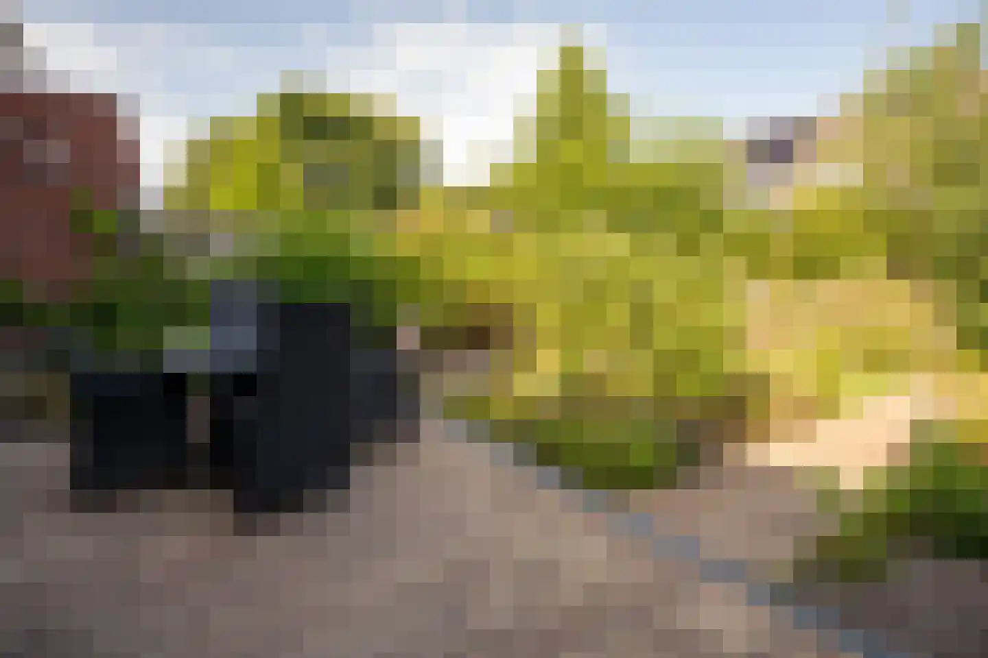 Hertshooistraat 14 C Assen thumbnail 26
