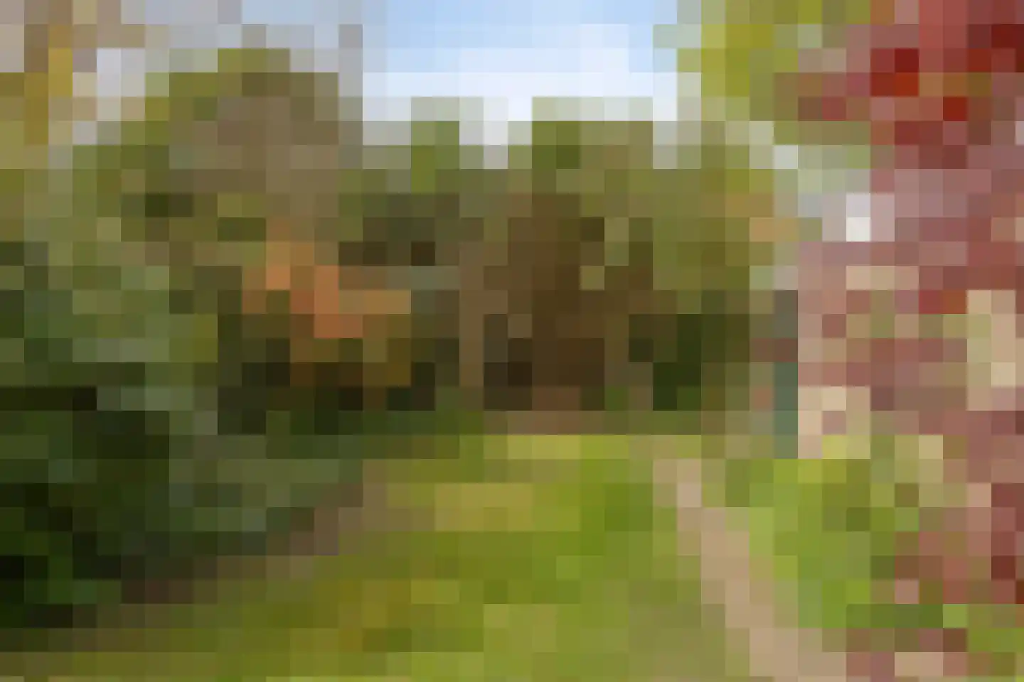 Hertshooistraat 24 Assen thumbnail 12