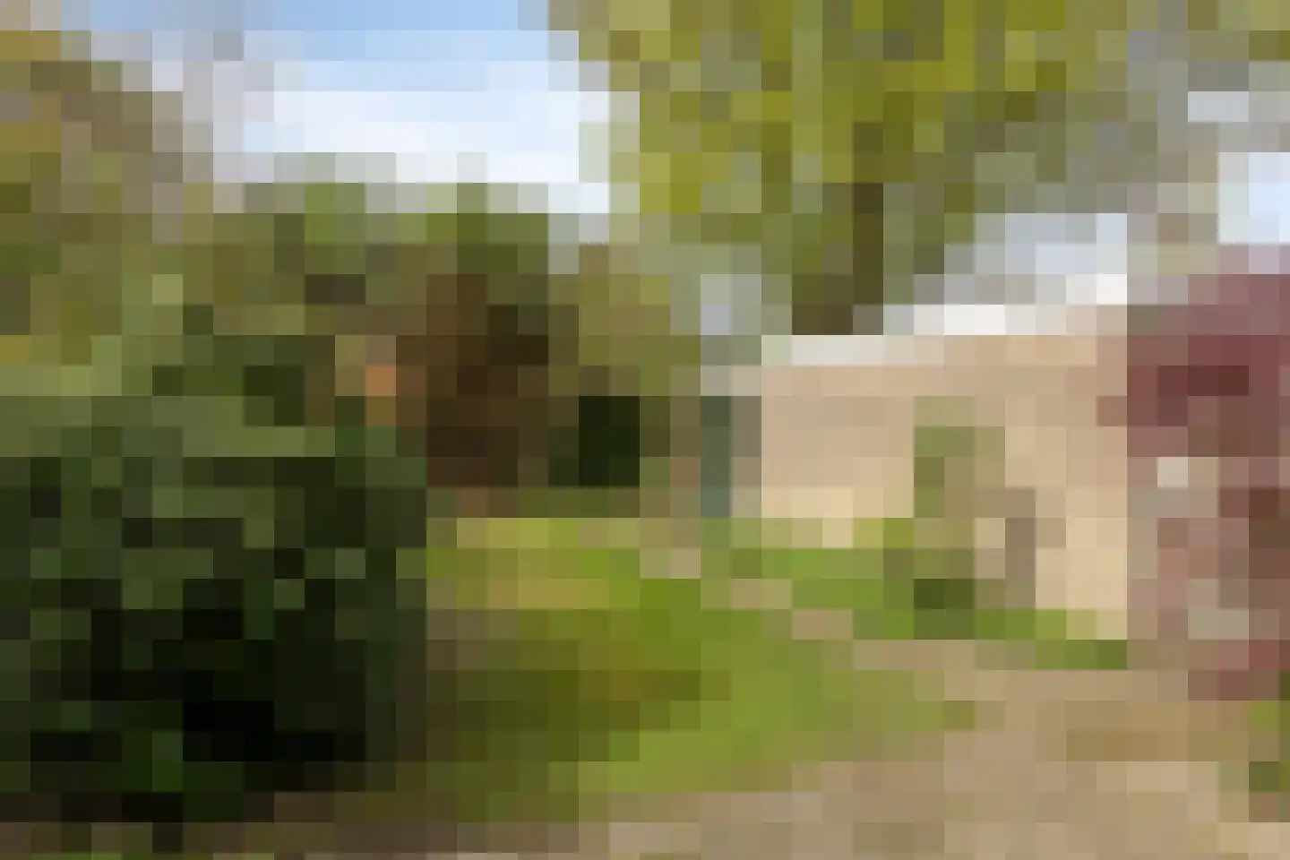Hertshooistraat 24 Assen thumbnail 13