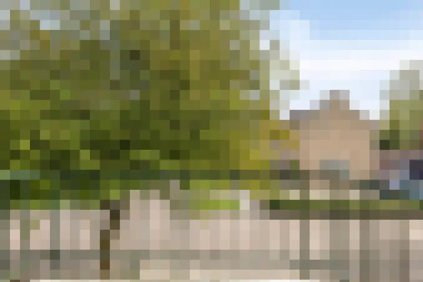 Hertshooistraat 24 Assen thumbnail 18