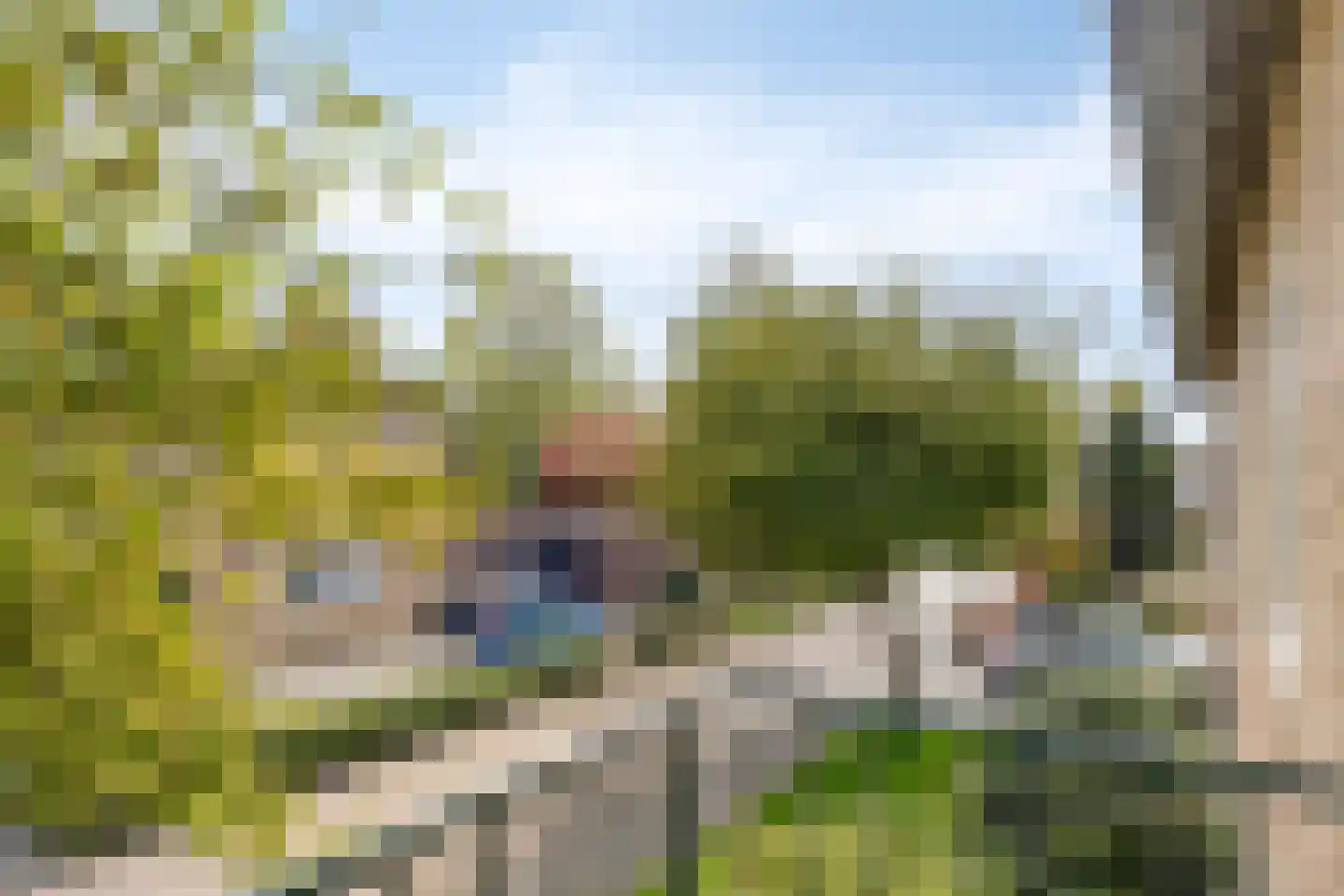 Hertshooistraat 24 Assen thumbnail 19
