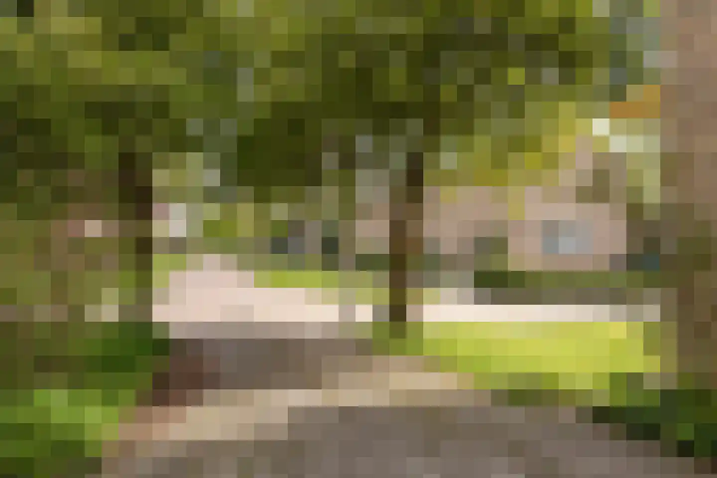 Hertshooistraat 24 Assen thumbnail 27