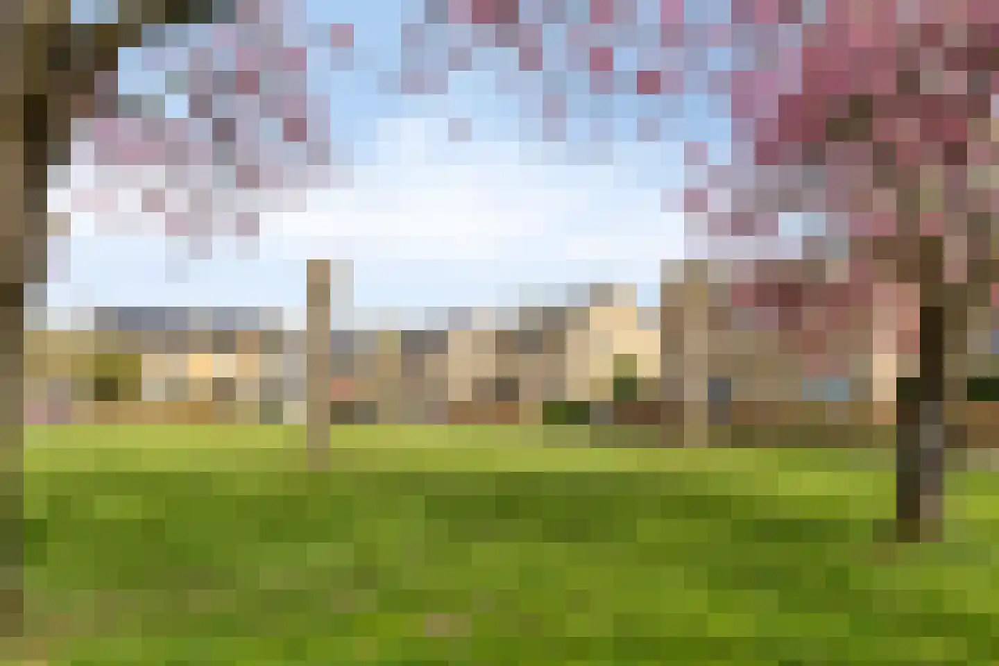 Hertshooistraat 24 Assen thumbnail 28