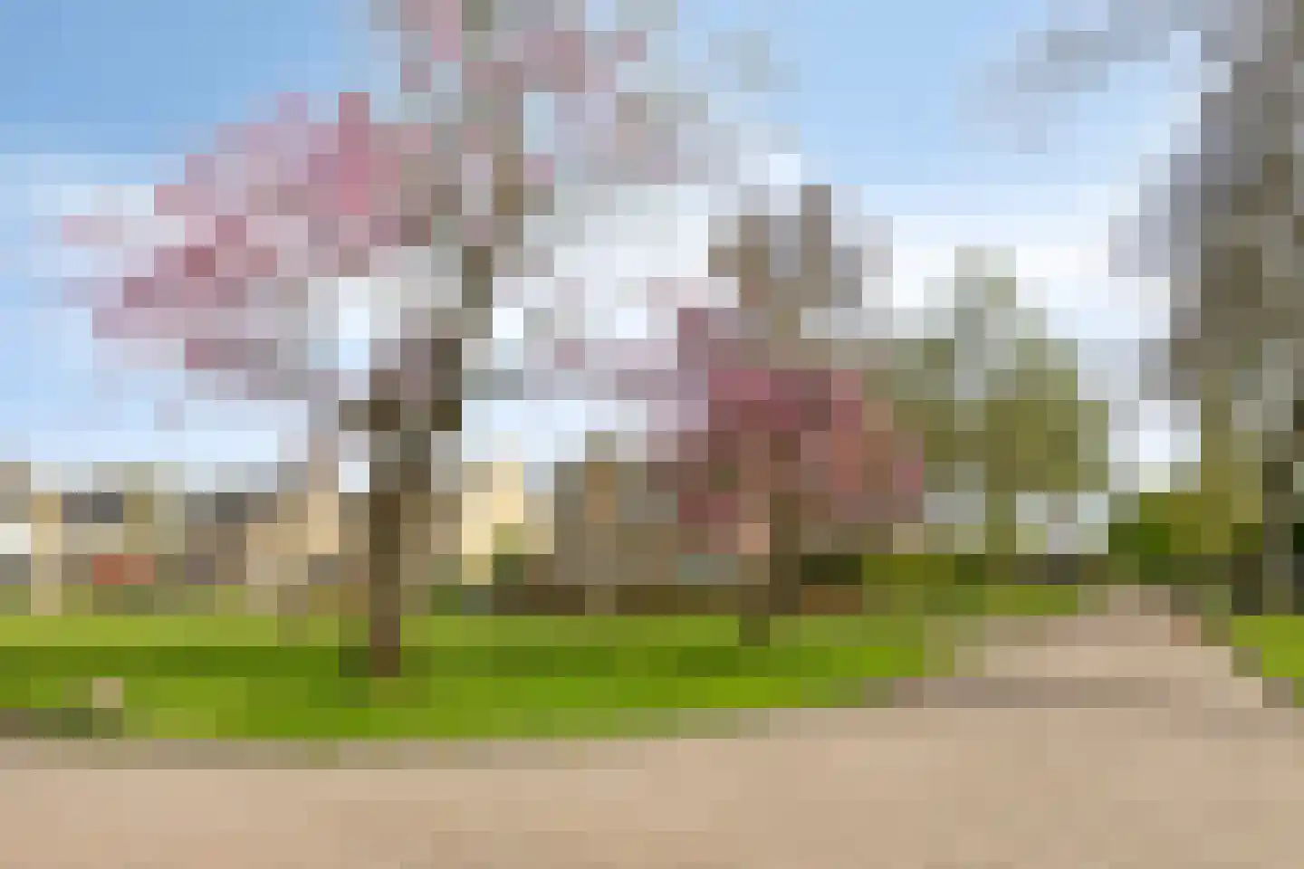 Hertshooistraat 24 Assen thumbnail 29