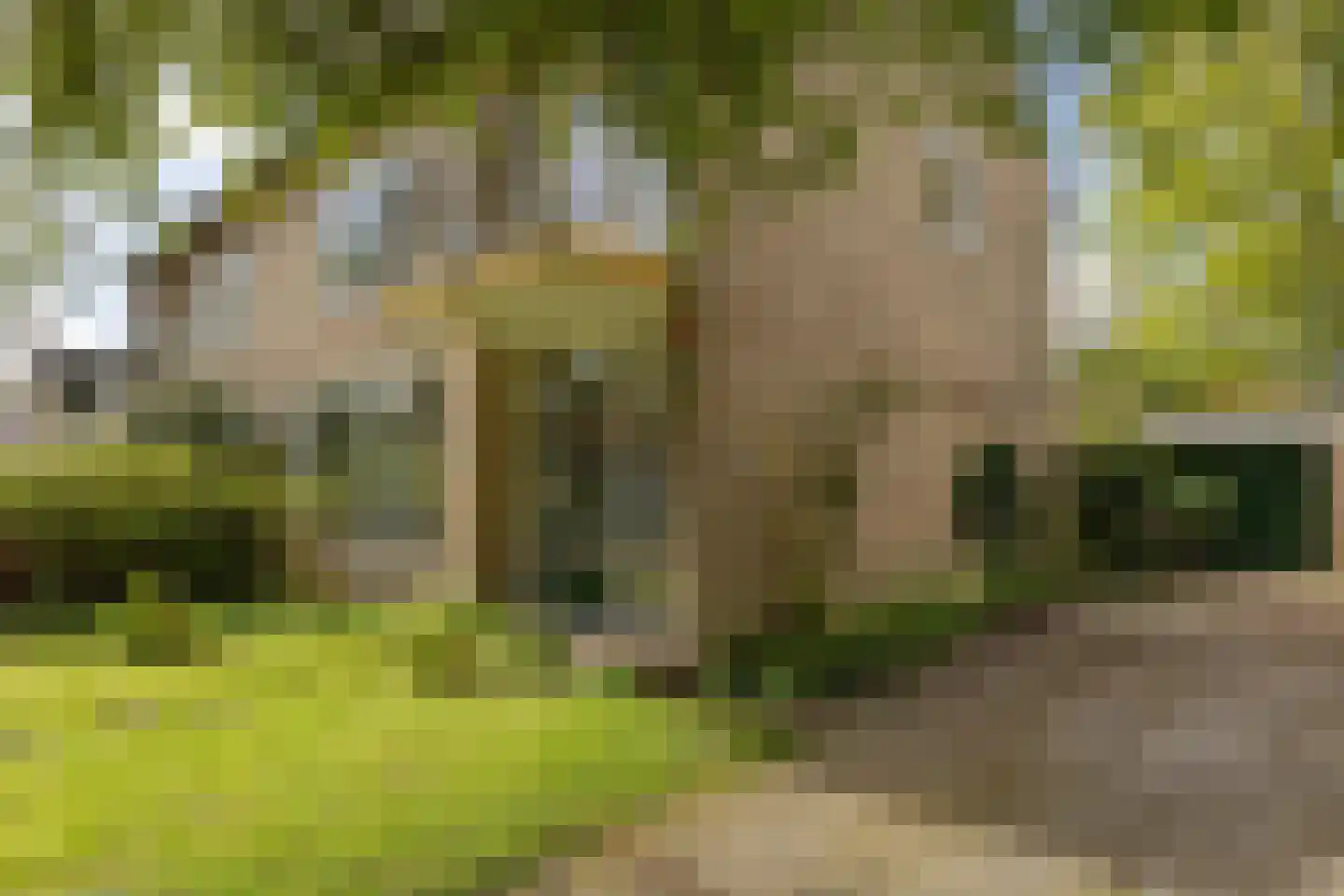 Hertshooistraat 24 Assen thumbnail 4