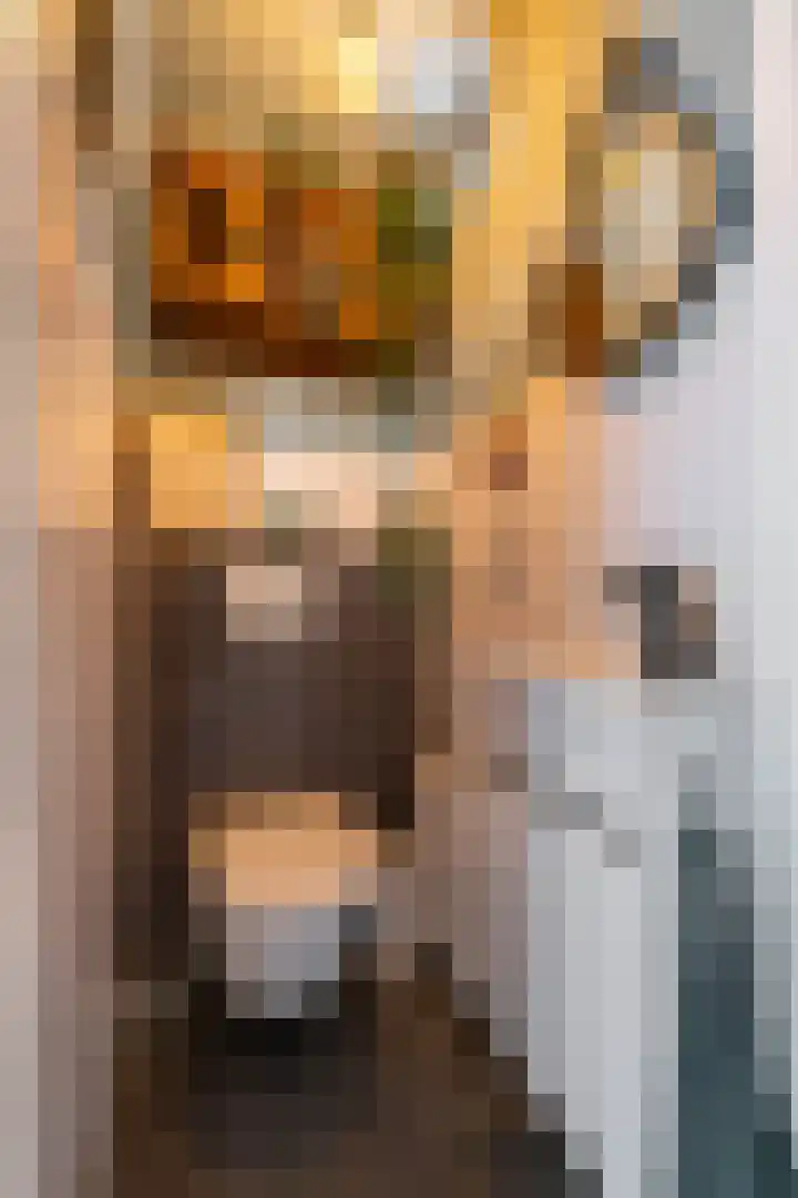 Hertshooistraat 36 Assen thumbnail 13