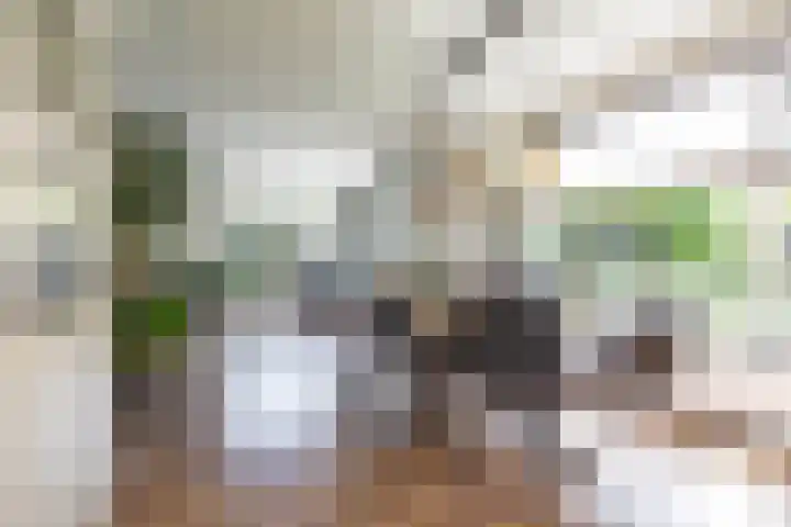 Hertshooistraat 36 Assen thumbnail 18