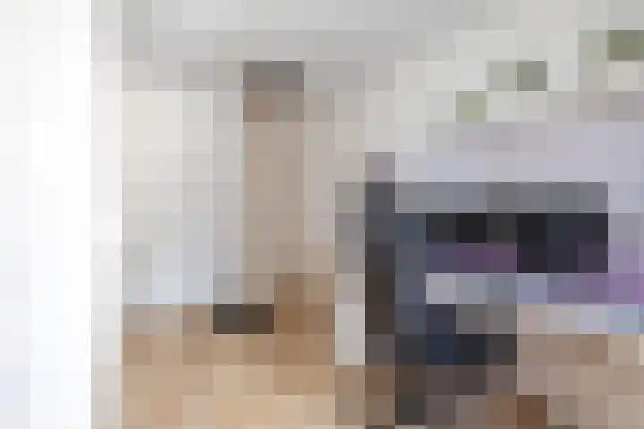 Hertshooistraat 36 Assen thumbnail 38