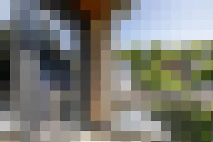 Hertshooistraat 36 Assen thumbnail 51