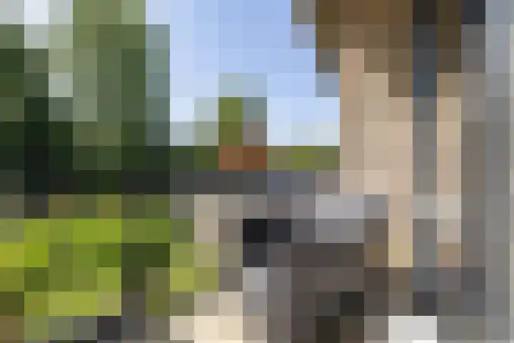 Hertshooistraat 36 Assen thumbnail 52