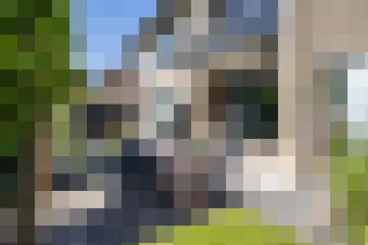 Hertshooistraat 36 Assen thumbnail 53