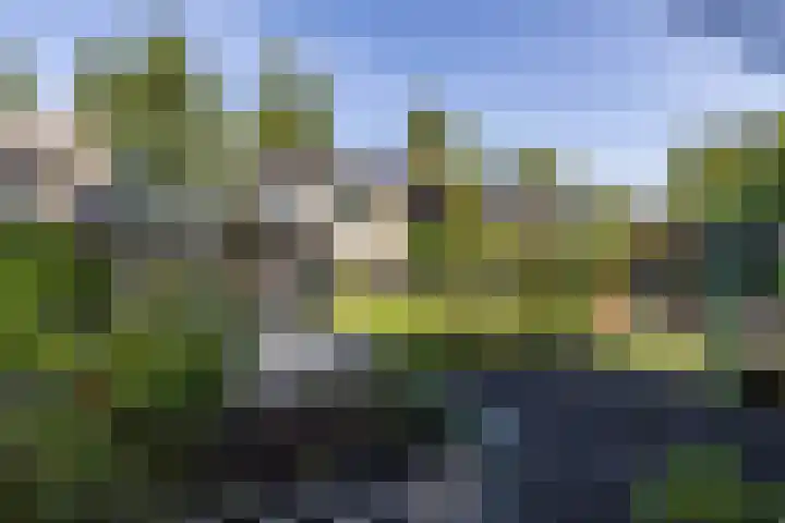 Hertshooistraat 36 Assen thumbnail 54
