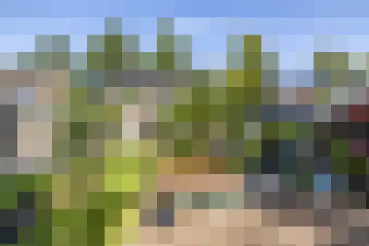 Hertshooistraat 36 Assen thumbnail 55