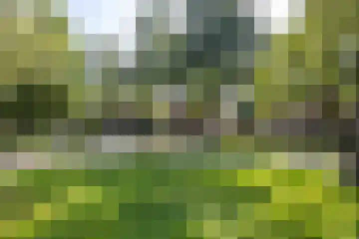 Hertshooistraat 36 Assen thumbnail 56