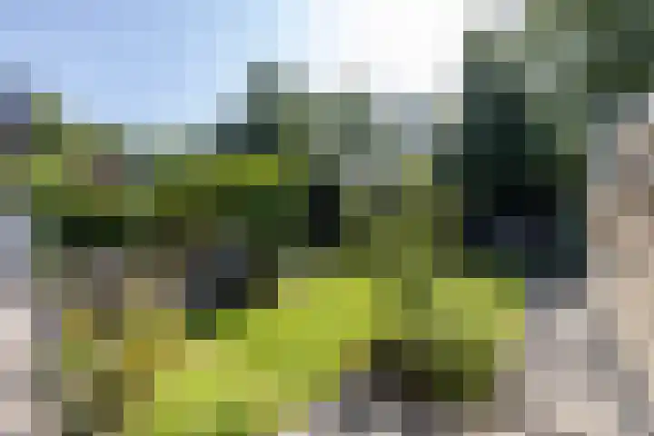 Hertshooistraat 36 Assen thumbnail 58