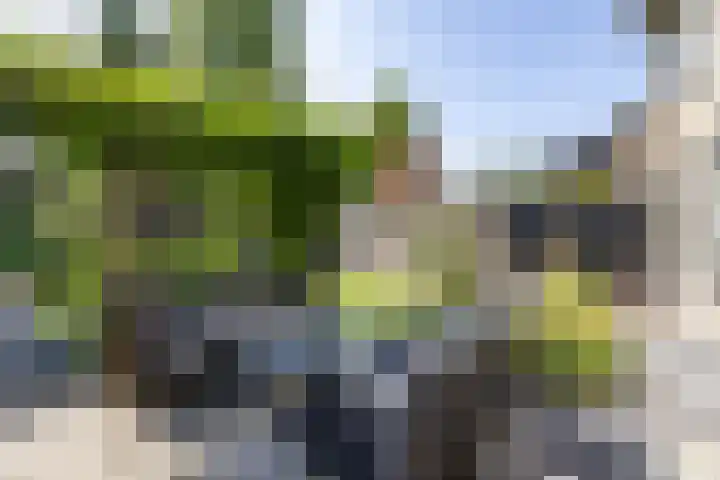 Hertshooistraat 36 Assen thumbnail 59