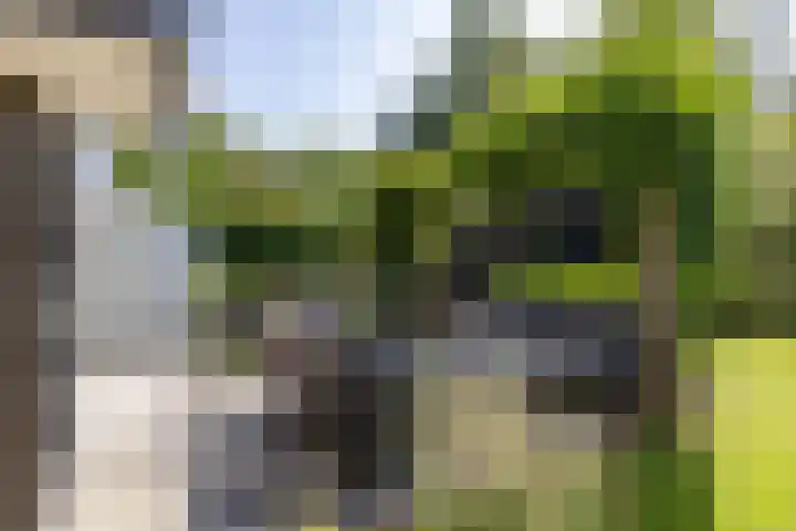 Hertshooistraat 36 Assen thumbnail 60