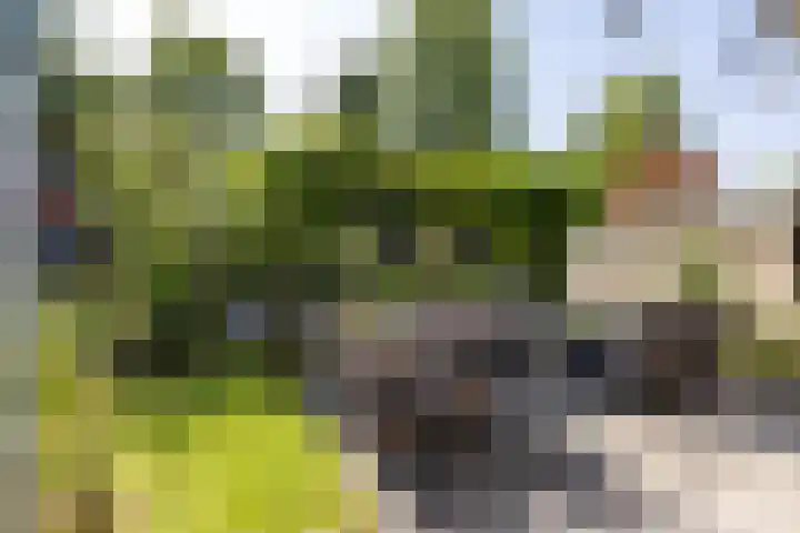 Hertshooistraat 36 Assen thumbnail 61