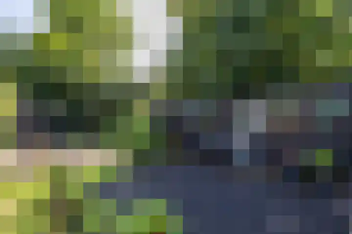 Hertshooistraat 36 Assen thumbnail 63
