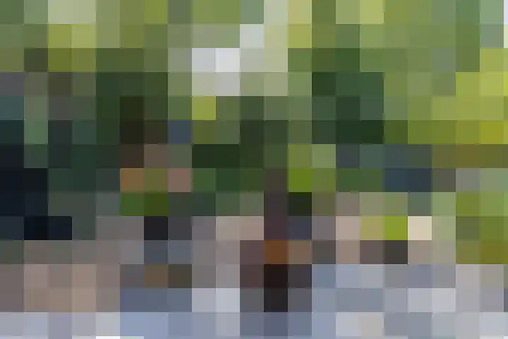 Hertshooistraat 36 Assen thumbnail 64