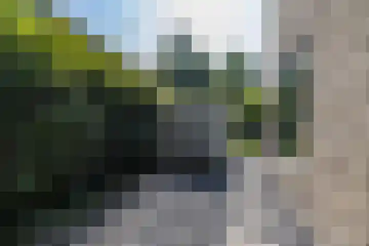 Hertshooistraat 36 Assen thumbnail 68