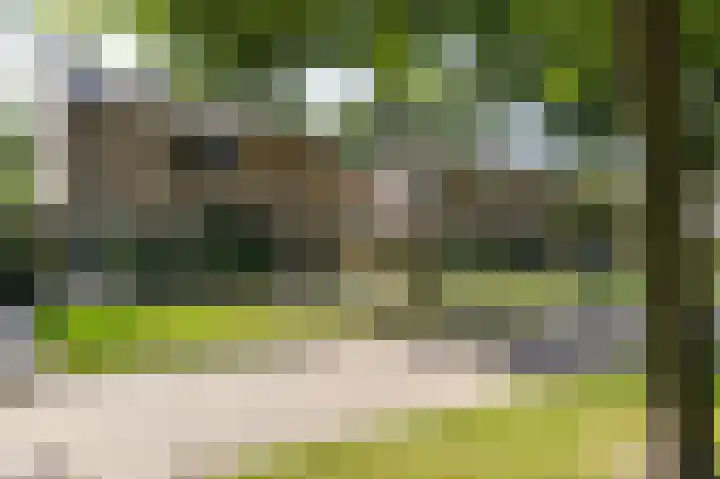 Hertshooistraat 36 Assen thumbnail 69