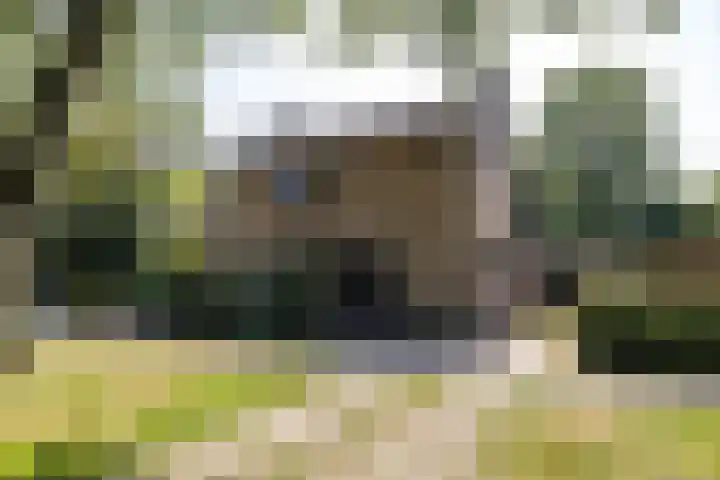 Hertshooistraat 36 Assen thumbnail 8