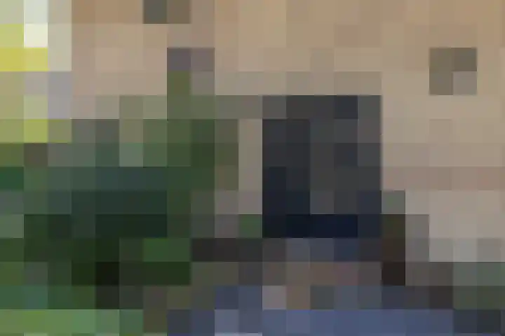 Hertshooistraat 36 Assen thumbnail 9