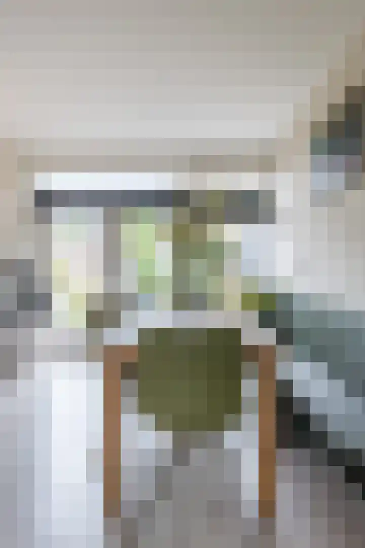 Hertshooistraat 4 Assen thumbnail 11