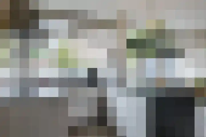 Hertshooistraat 4 Assen thumbnail 13