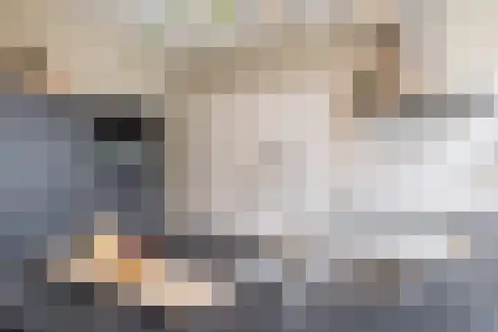 Hertshooistraat 4 Assen thumbnail 15